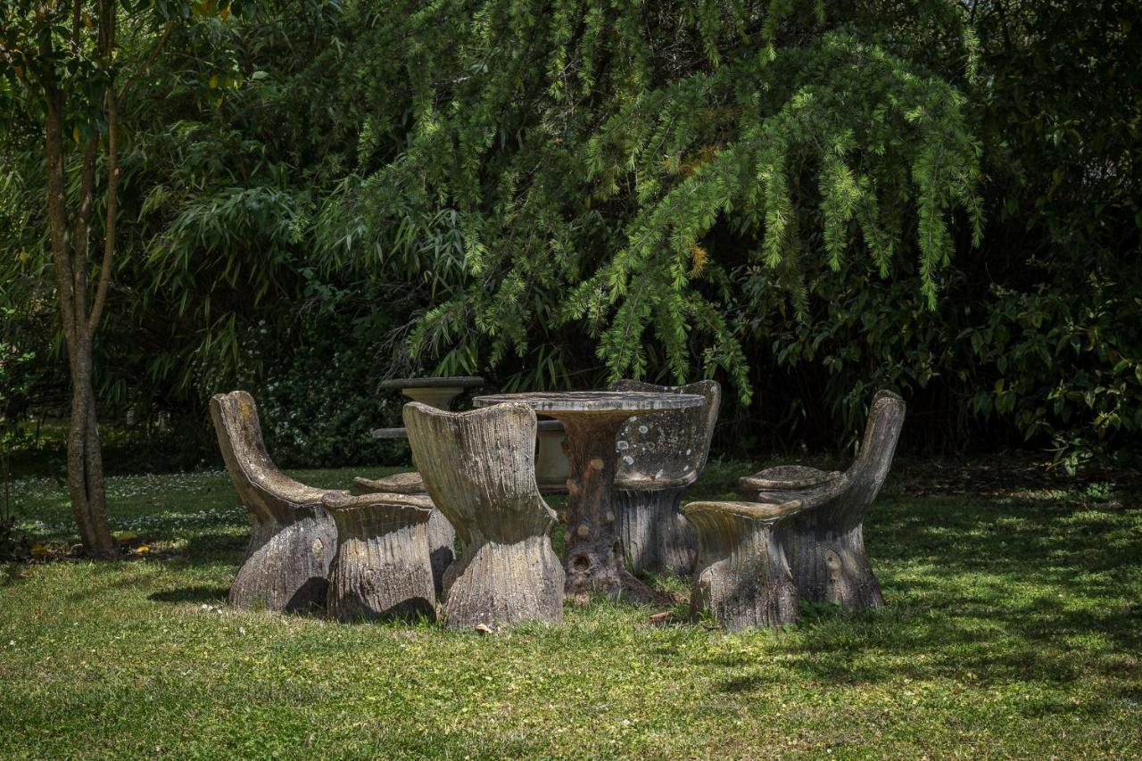 Chateau Des Orchidees En Val De Loire Saumur Εξωτερικό φωτογραφία