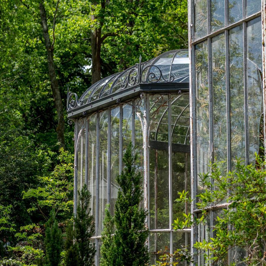 Chateau Des Orchidees En Val De Loire Saumur Εξωτερικό φωτογραφία