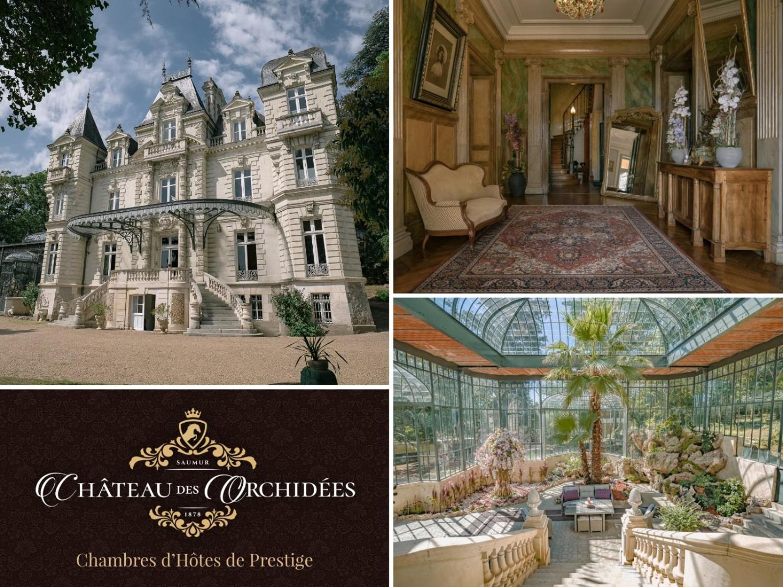 Chateau Des Orchidees En Val De Loire Saumur Εξωτερικό φωτογραφία