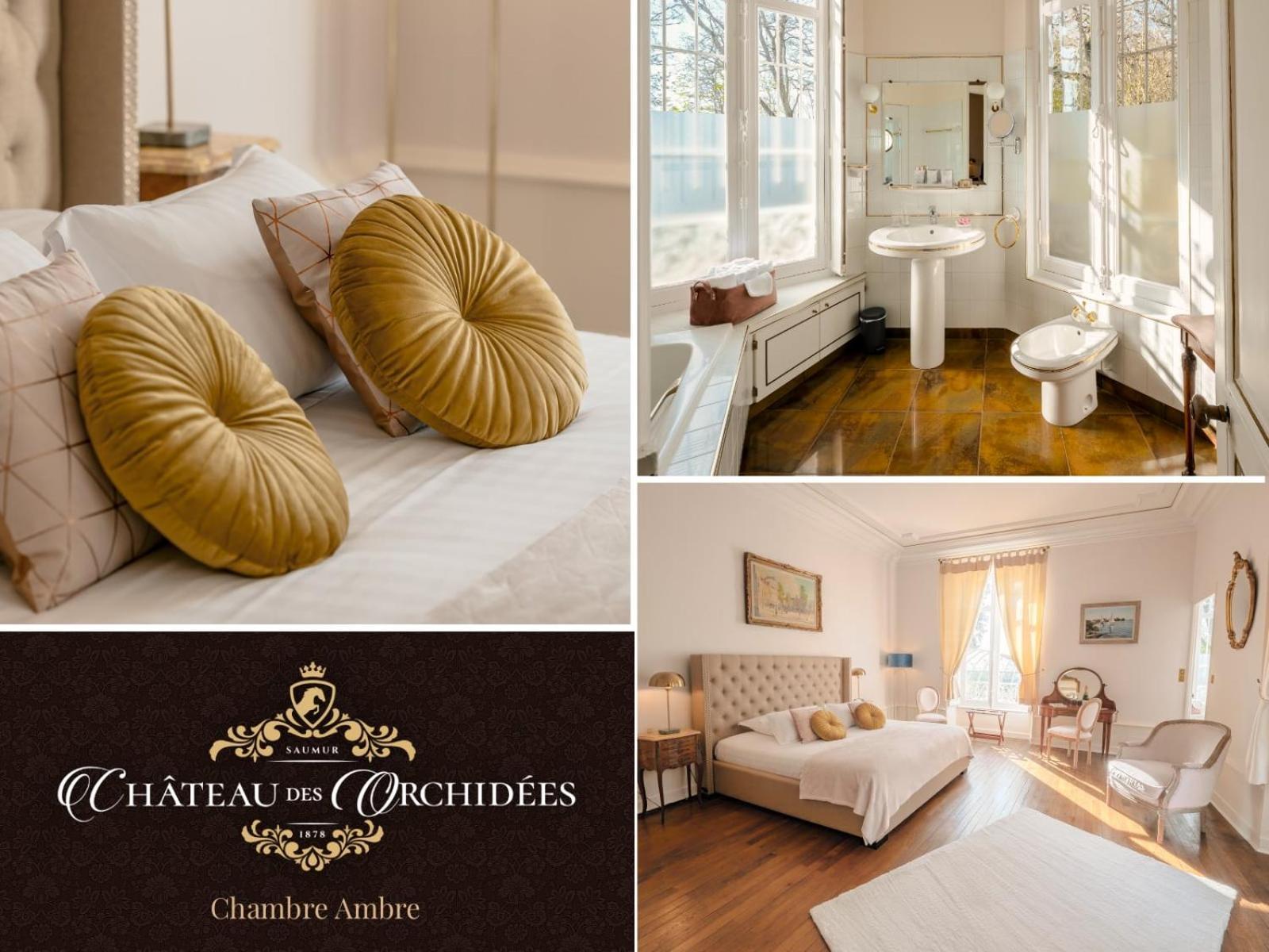 Chateau Des Orchidees En Val De Loire Saumur Εξωτερικό φωτογραφία